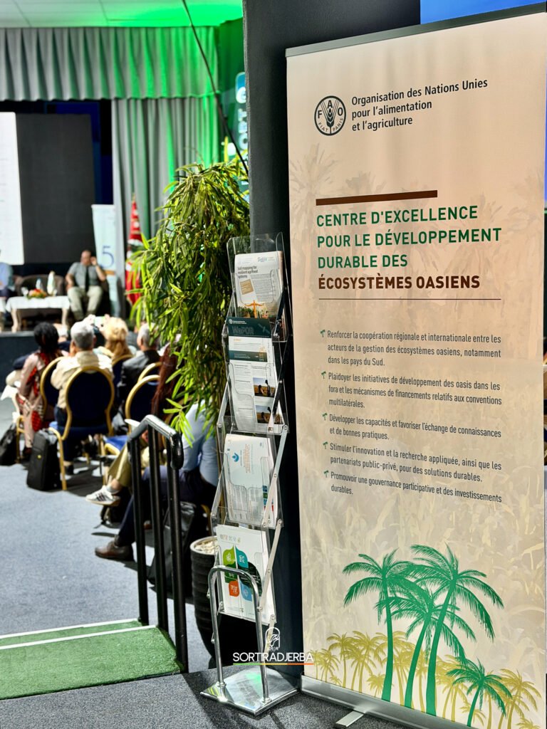 Djerba, île de sable et de science : Plein phare sur la SWDCC 2026 de l'institut des régions arides au Djerba Resort !